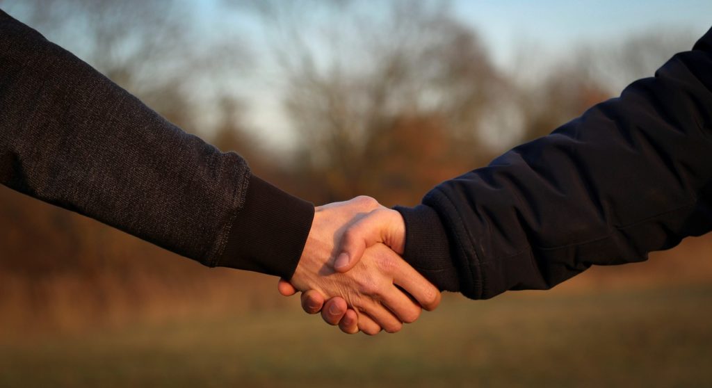 handshake, hand giving, hand holding