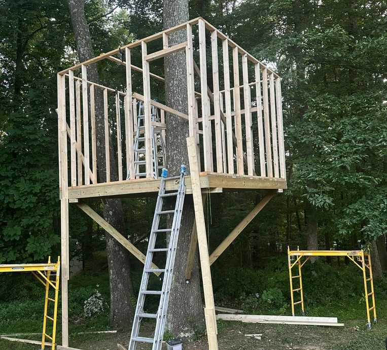 Before image