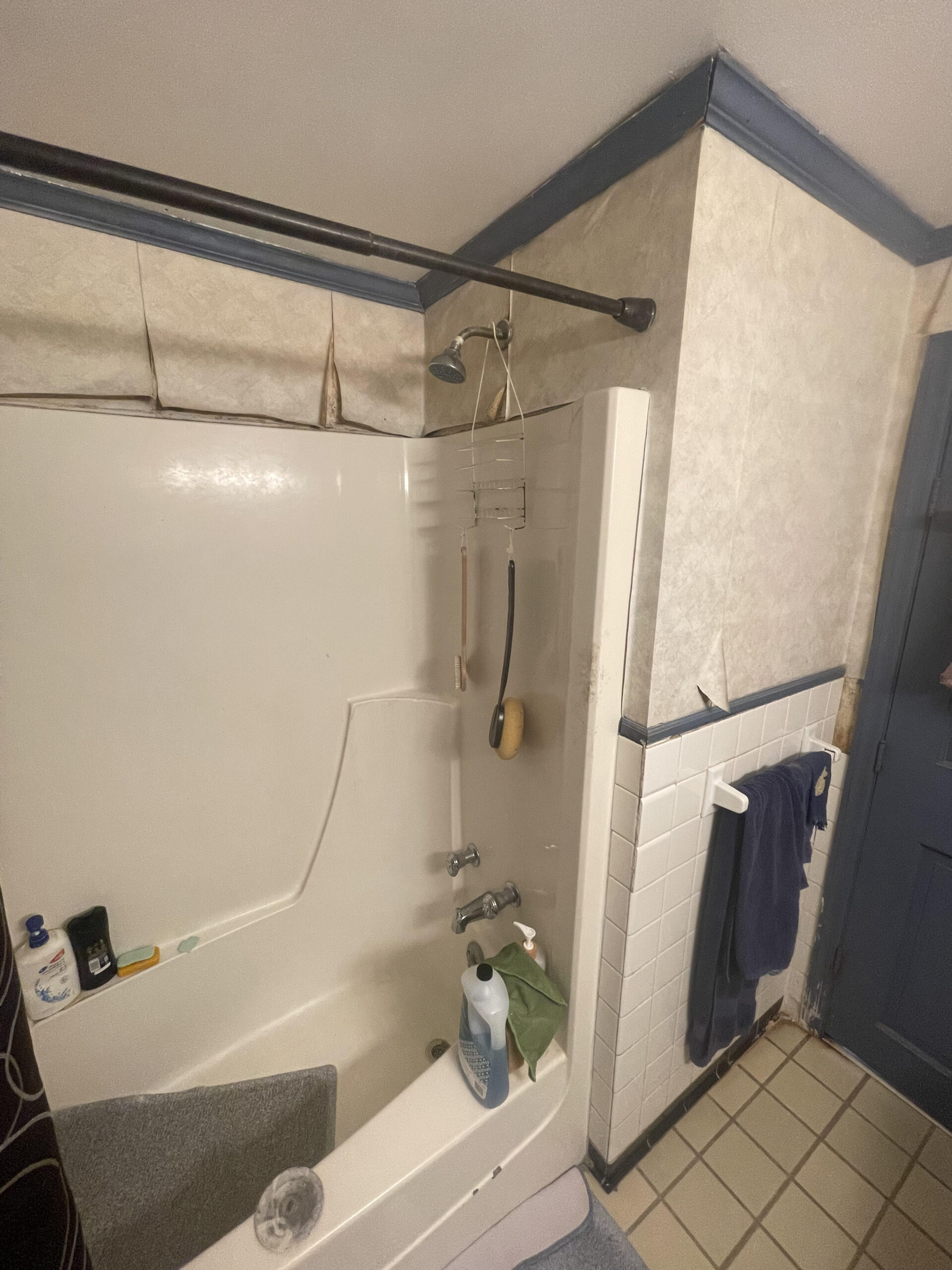 Before image