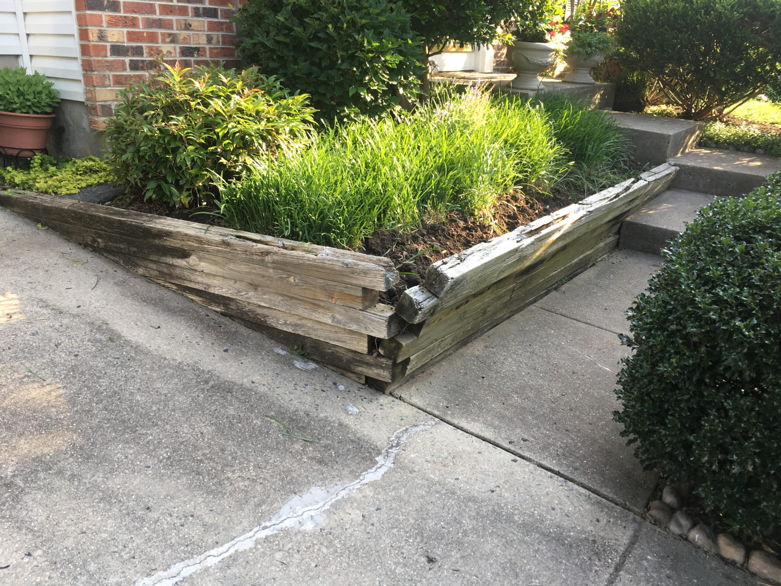 Before image